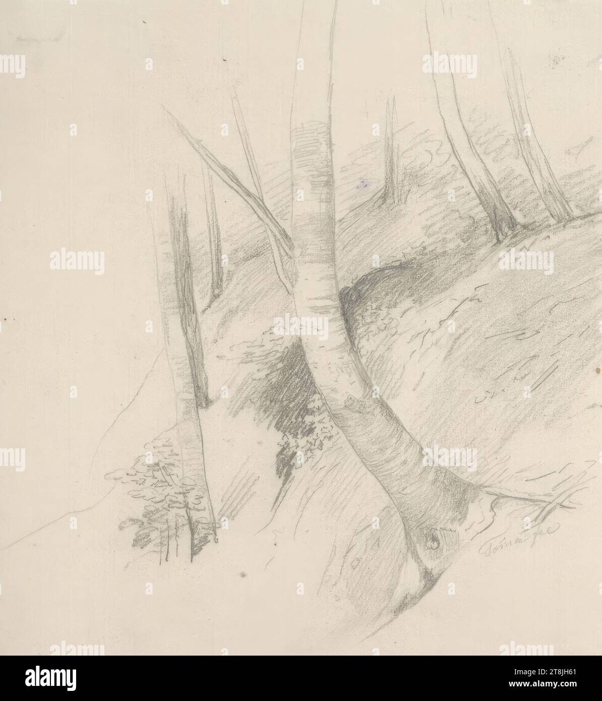 Etude d'une forêt en pente, carnet de croquis Toma Matthias Rudolf ; 53 croquis collés au crayon, pages collées de livres paginées, Matthias Rudolf Toma, Vienne 1792 - 1869 Vienne, dessin, crayon, feuille : 13,5 cm x 11,5 cm, Autriche Banque D'Images