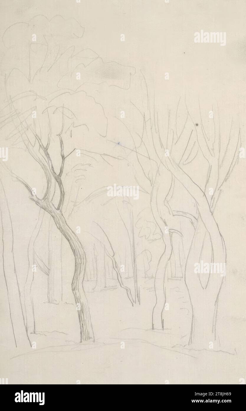 Croquis d'une forêt, carnet de croquis Toma Matthias Rudolf ; 53 croquis au crayon collés, pages de livres collées paginées, Matthias Rudolf Toma, Vienne 1792 - 1869 Vienne, dessin, crayon, feuille : 19,3 cm x 11,5 cm, Autriche Banque D'Images