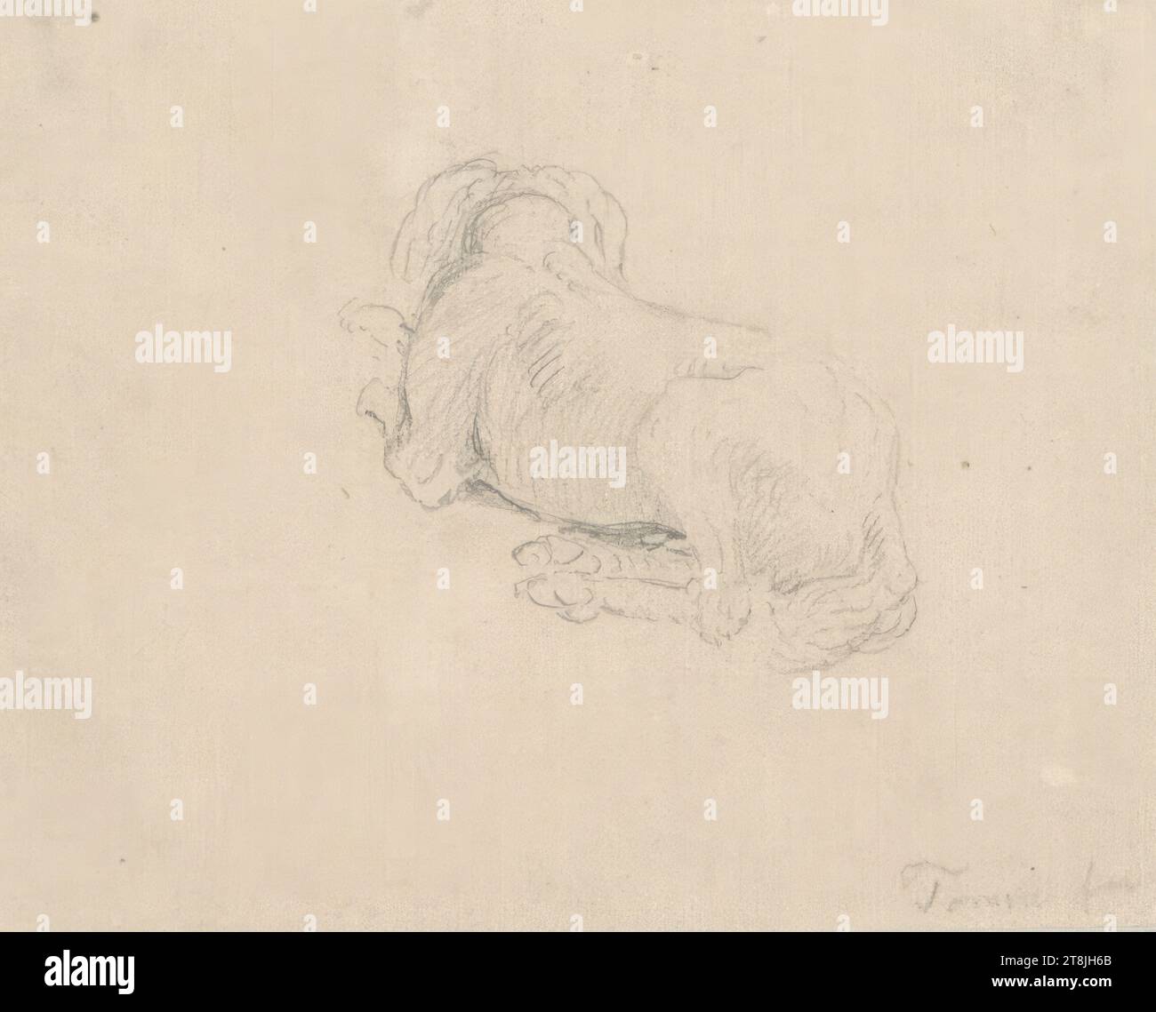 Chien couché par derrière, carnet de croquis Toma Matthias Rudolf ; 53 croquis collés au crayon, pages collées du livre paginées, Matthias Rudolf Toma, Vienne 1792 - 1869 Vienne, dessin, crayon, feuille : 6,1 cm x 7,7 cm, Autriche Banque D'Images