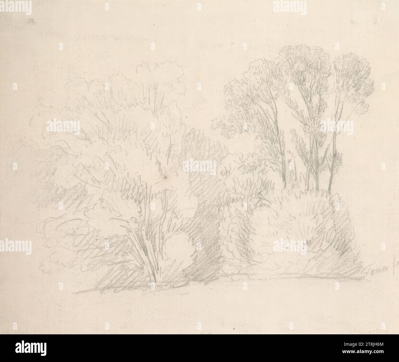 Forêt, carnet de croquis Toma Matthias Rudolf ; 53 croquis collés au crayon, pages collées du livre paginées, Matthias Rudolf Toma, Vienne 1792 - 1869 Vienne, dessin, crayon, feuille : 11,4 cm x 13,4 cm, Autriche Banque D'Images