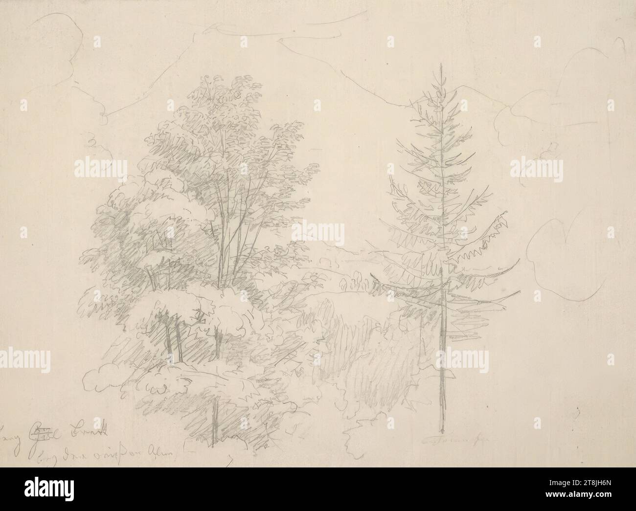 Forêt, carnet de croquis Toma Matthias Rudolf ; 53 croquis collés au crayon, pages collées du livre paginées, Matthias Rudolf Toma, Vienne 1792 - 1869 Vienne, dessin, crayon, feuille : 11,3 cm x 16,4 cm, l.l. 'Mountain Brett / near the White alm', crayon, Autriche Banque D'Images