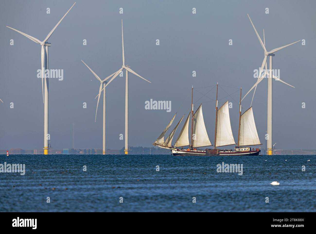 Goélette à trois mâts naviguant entre des éoliennes sur l'Ijsselmeer, pays-Bas, Frise Banque D'Images