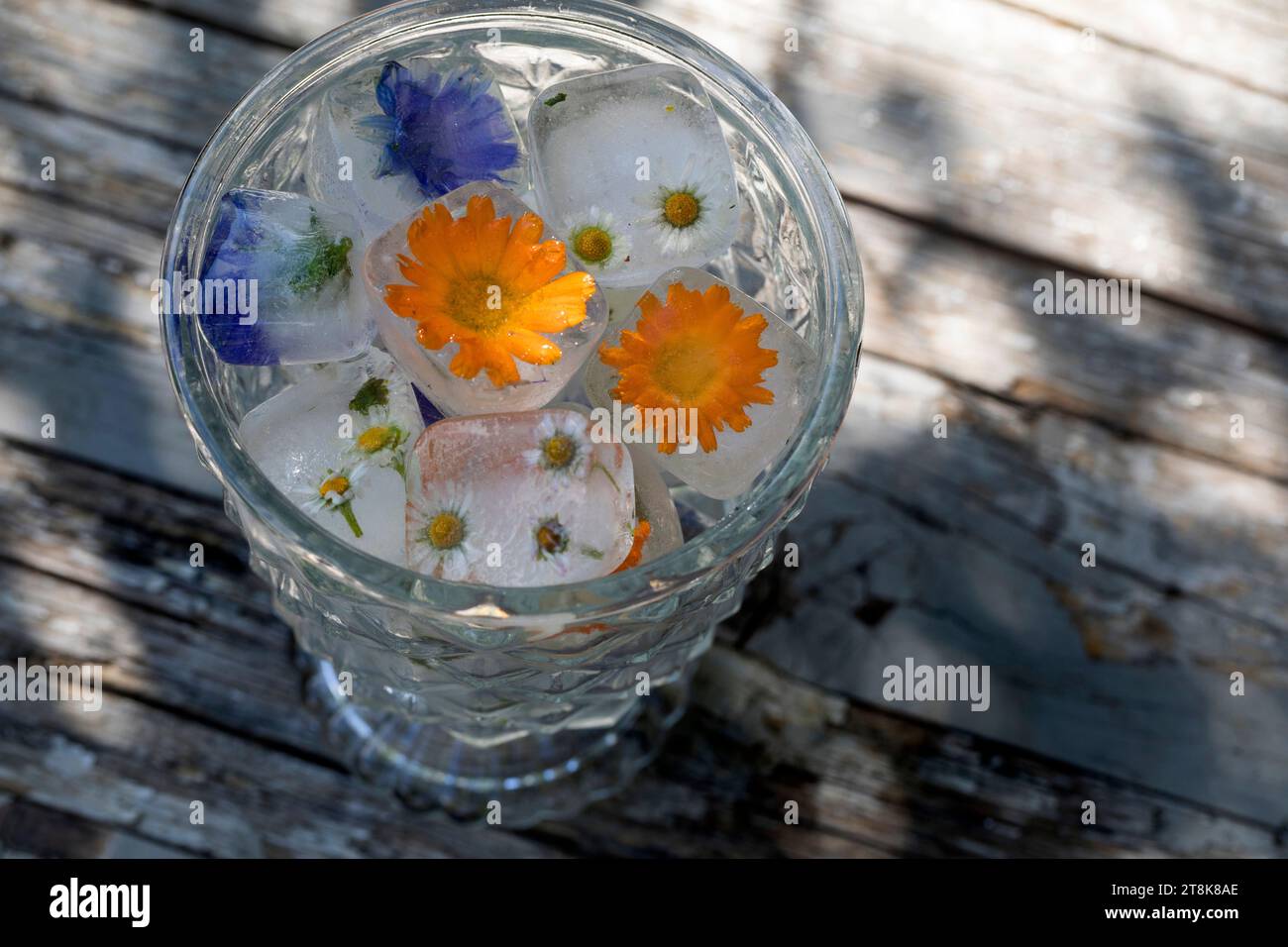glaçubes faites avec des herbes printanières et des fleurs dans un verre d'eau Banque D'Images