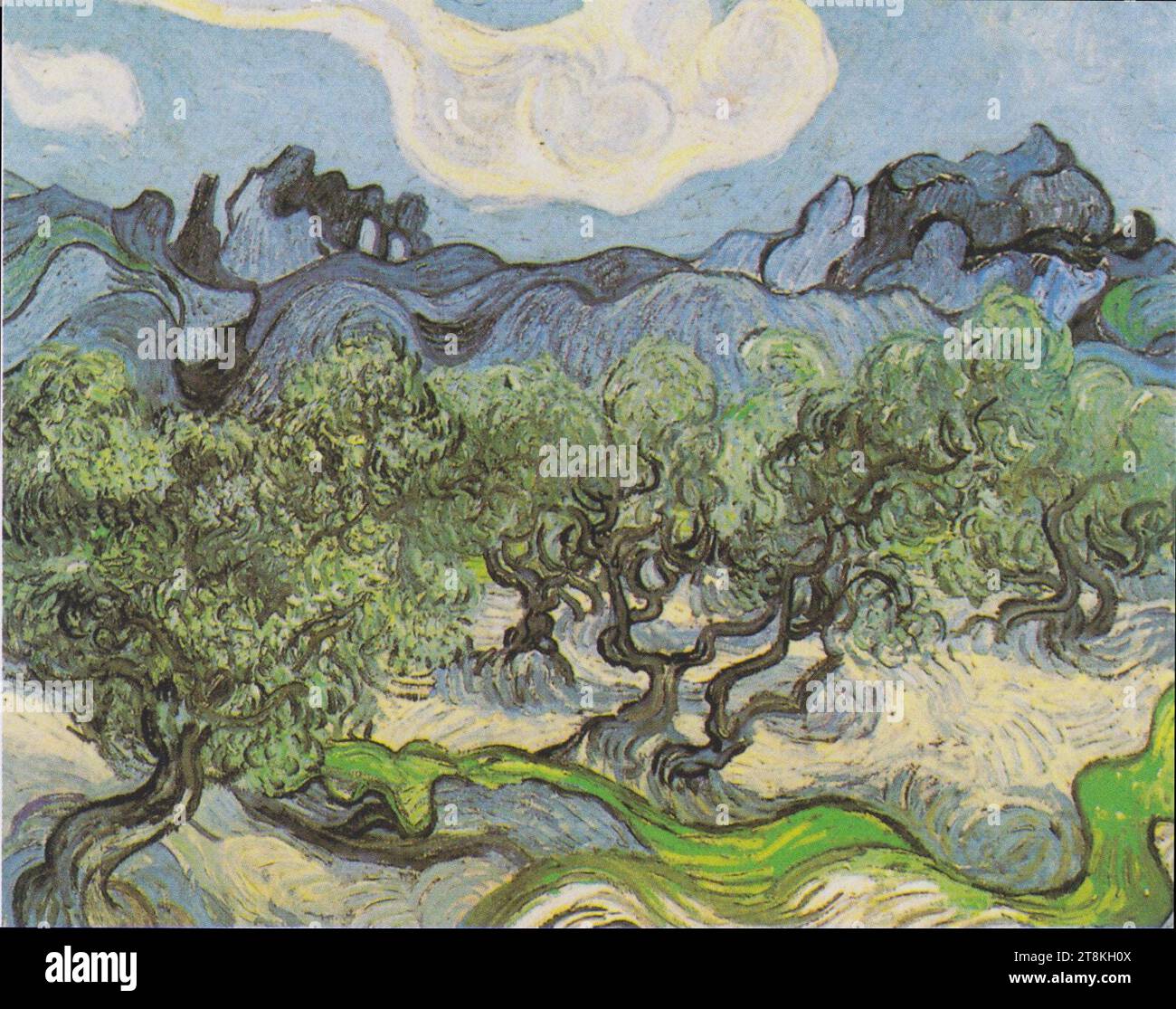 Van Gogh - Olivenbäume mit ''les Alpilles'' im hintergrund. Banque D'Images