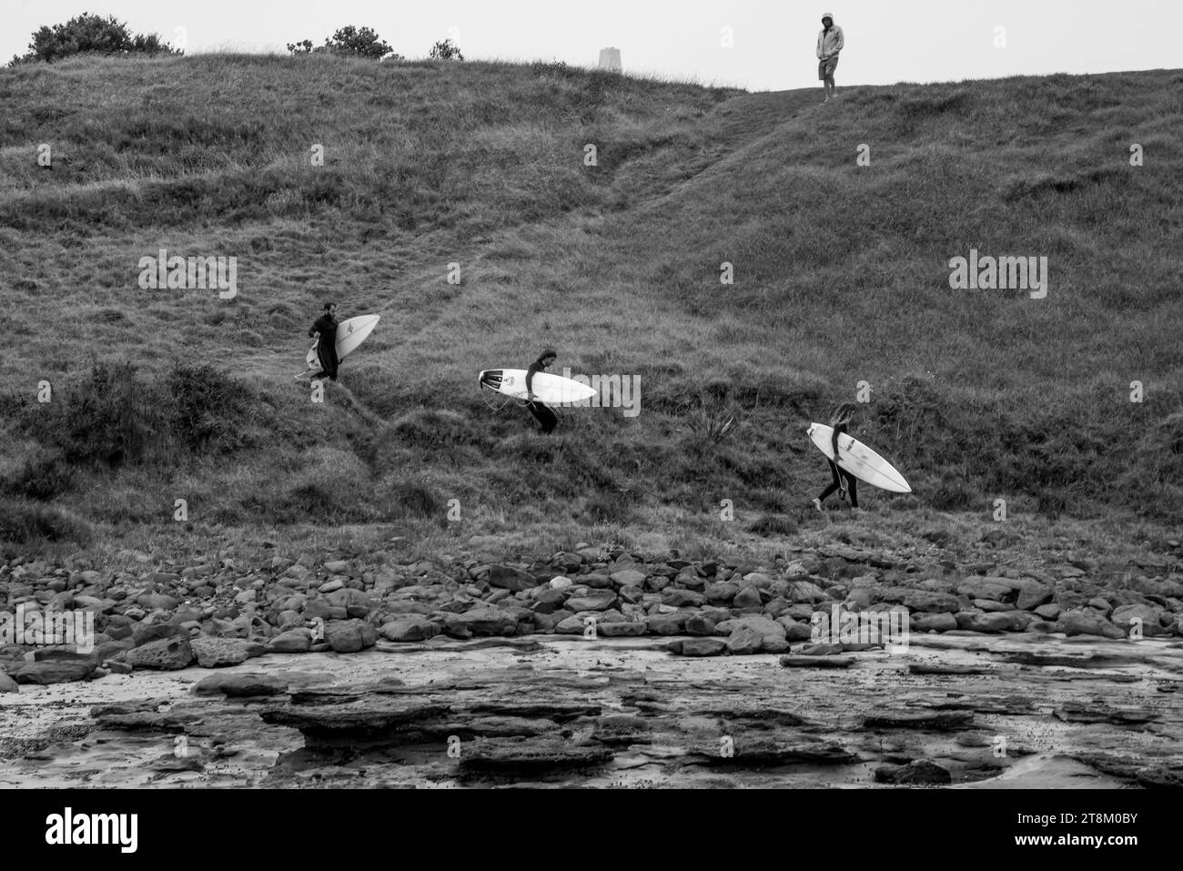 Trois surfeurs descendent un remblai à Sandon point Beach, Bulli NSW. Banque D'Images