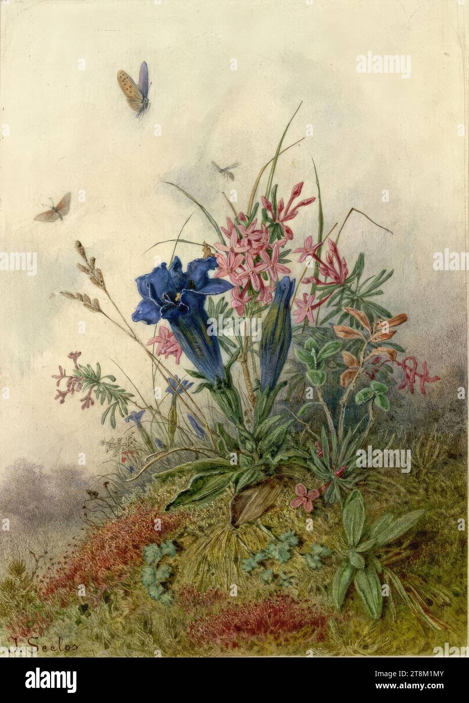 Gentiane bleue et roses alpines avec un peu de paysage de montagne, Ignaz Seelos (Bozen 1827 - 1902 Vienne), 1870-1890, dessin, aquarelle, crayon, 22 × 15,7 cm Banque D'Images