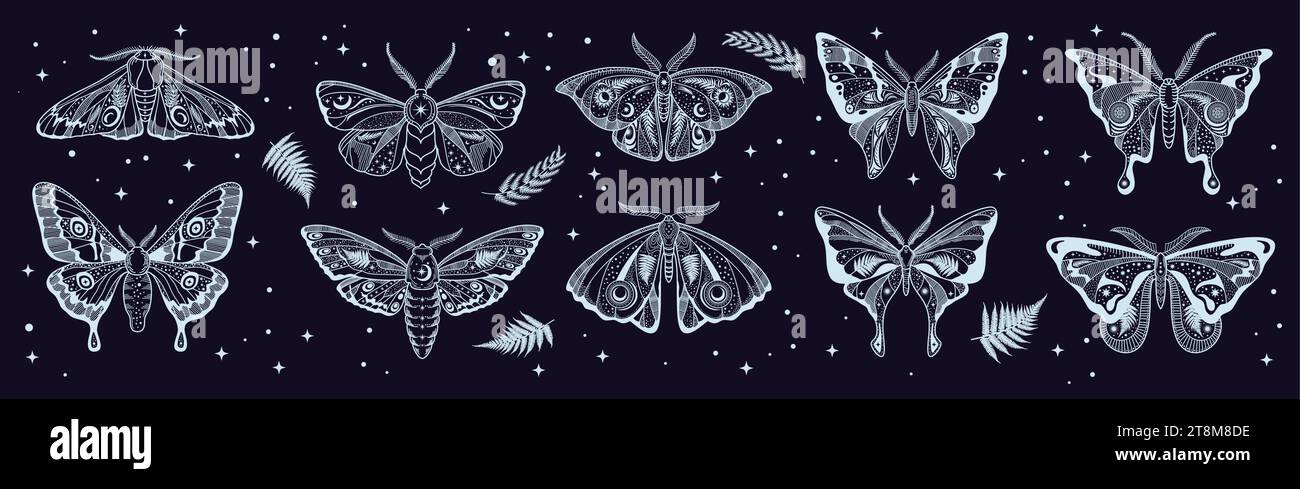 Mystique magique céleste. Silhouette papillon tatouage ésotérique ou icône. Papillon mystique, insecte de nuit magique ou fantaisie lunaire gravure vecteur ou fond avec feuilles de fougères et étoiles Illustration de Vecteur