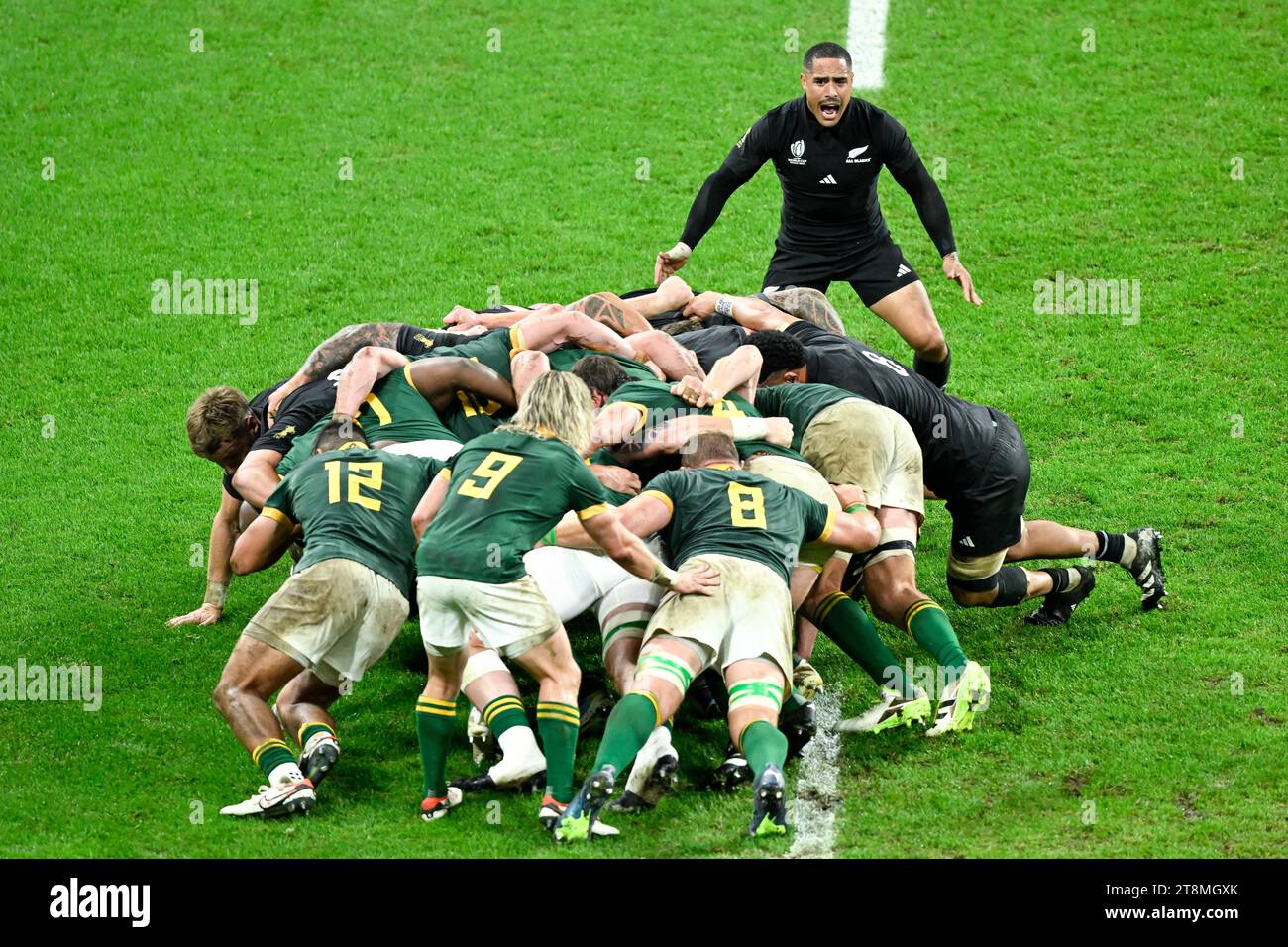 Springboks all blacks Banque de photographies et d’images à haute ...