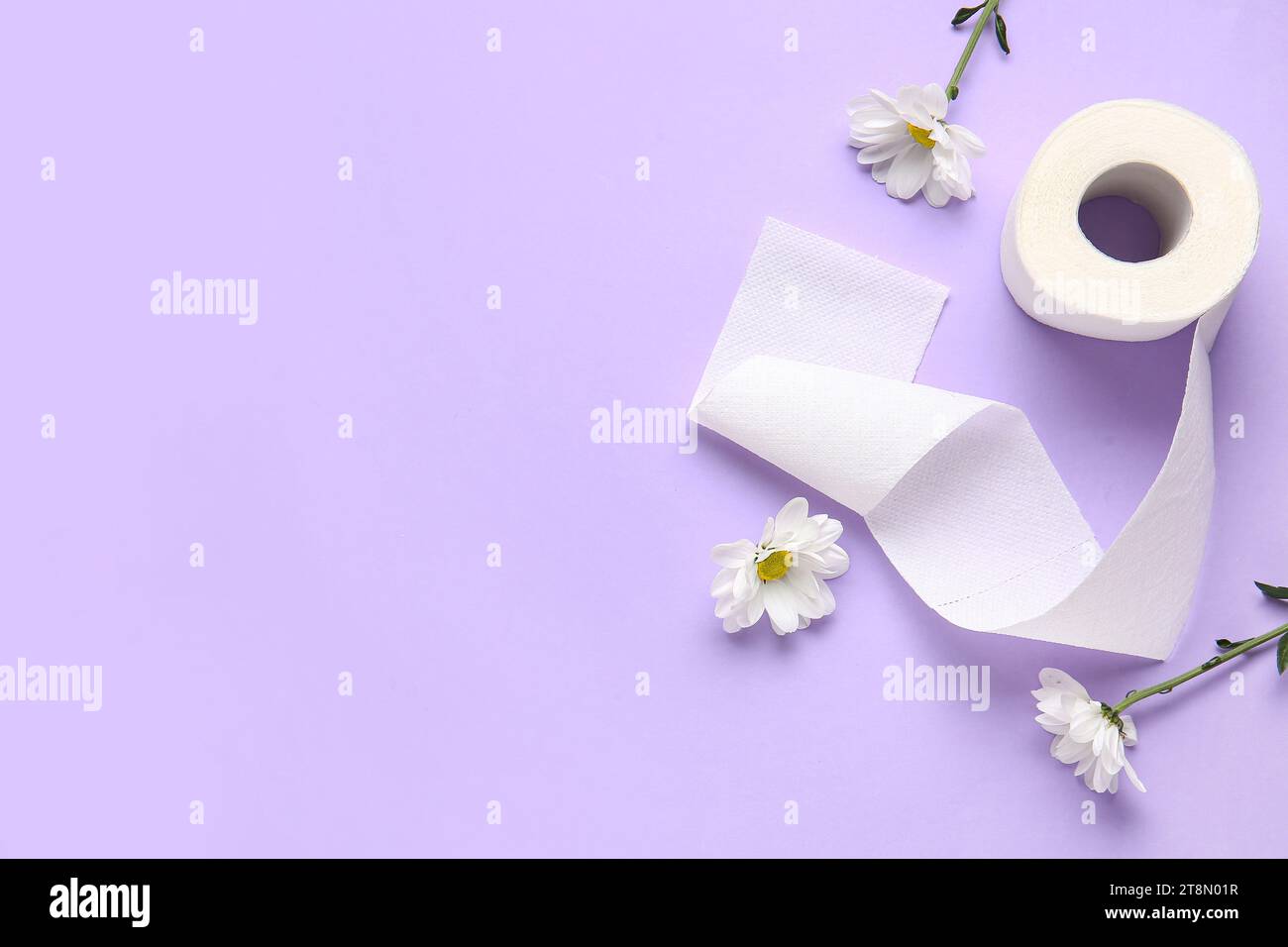 Rouleau de papier toilette avec de belles fleurs de camomille sur fond lilas Banque D'Images