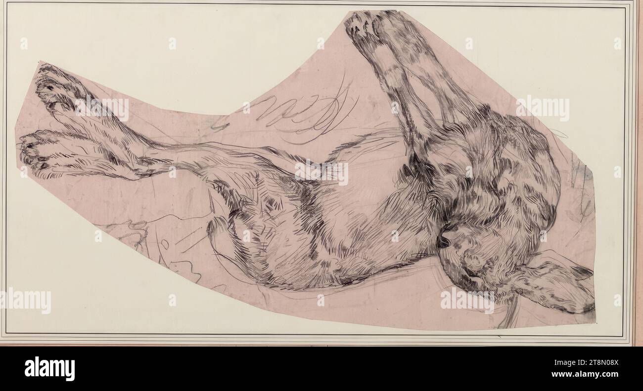 Lièvre mort, Carl Pischinger (Niederhollabrunn-Streitdorf 1823 - 1886 Liezen), dessin, crayon, feuille : 20,5 x 37,3 cm Banque D'Images