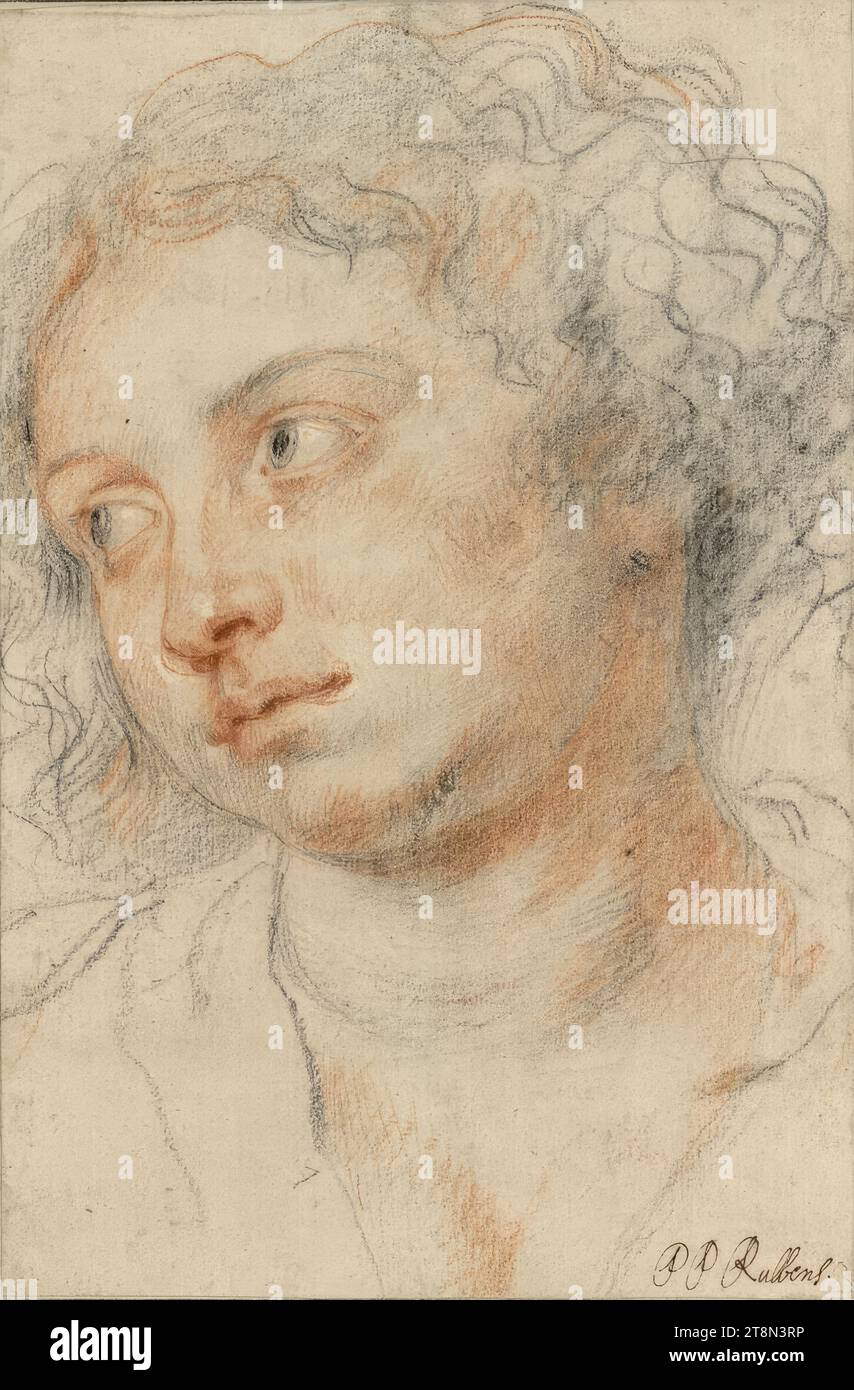 Tête d'une jeune femme à gauche, Pierre Paul Rubens (Siegen 1577 - 1640 Anvers), vers 1630/31, dessin, craie noire, sanguine, essuyé, rehaussé de craie blanche, pinceau rouge, 25,0 x 16,5 cm, r.b. Duc Albert de Saxe-Teschen, r.r. 'PP Rubbens.' (par la main de quelqu'un d'autre Banque D'Images