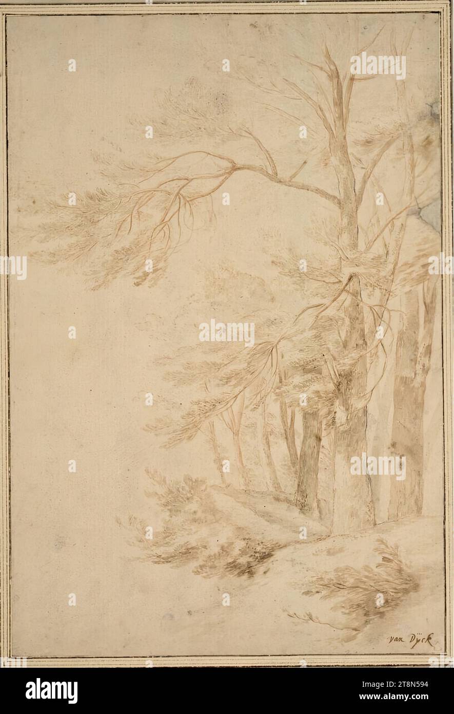 Arbres dans le vent, Anthonis van Dyck (Anvers 1599 - 1641 London-Blackfriars), dessin, craie rouge, pinceau brun et gris, brun lavis. Deux taches grises sales sur la droite. Marge., 44,1 x 29,8 cm, frise l. l. ; r.b. Duc Albert de Saxe-Teschen Banque D'Images