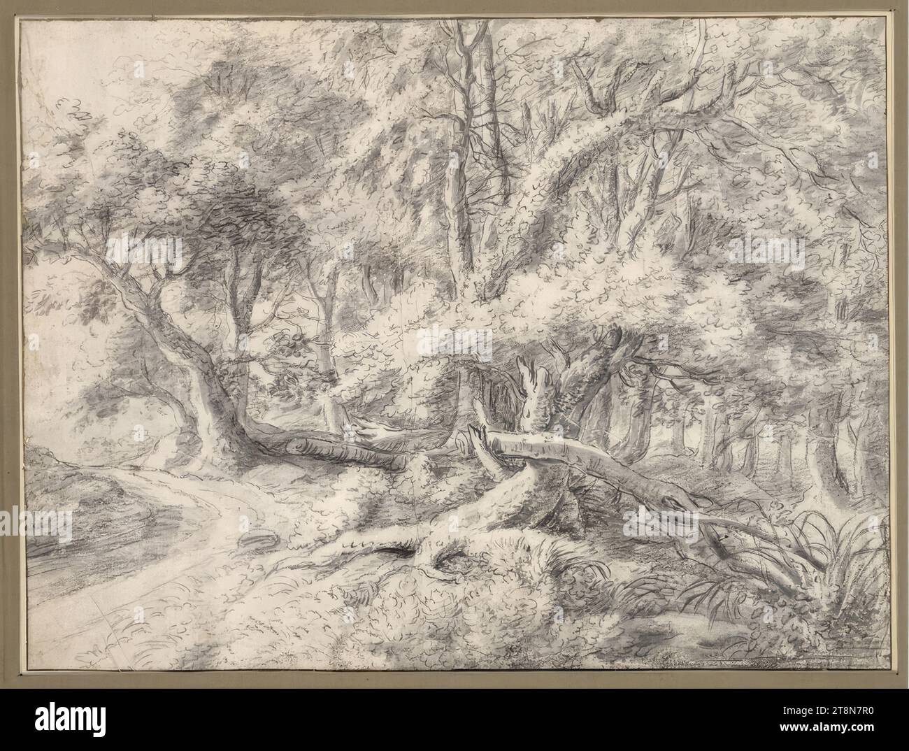 Forêt avec arbres anciens et tombés, Anthonie Waterloo (Lille 1609 - 1690 Utrecht), dessin, craie noire, lavis gris ; plis en plusieurs endroits ; petits défauts sur la marge gauche., 30,6 x 40,8 cm, l. et Duc Albert de Saxe-Teschen Banque D'Images