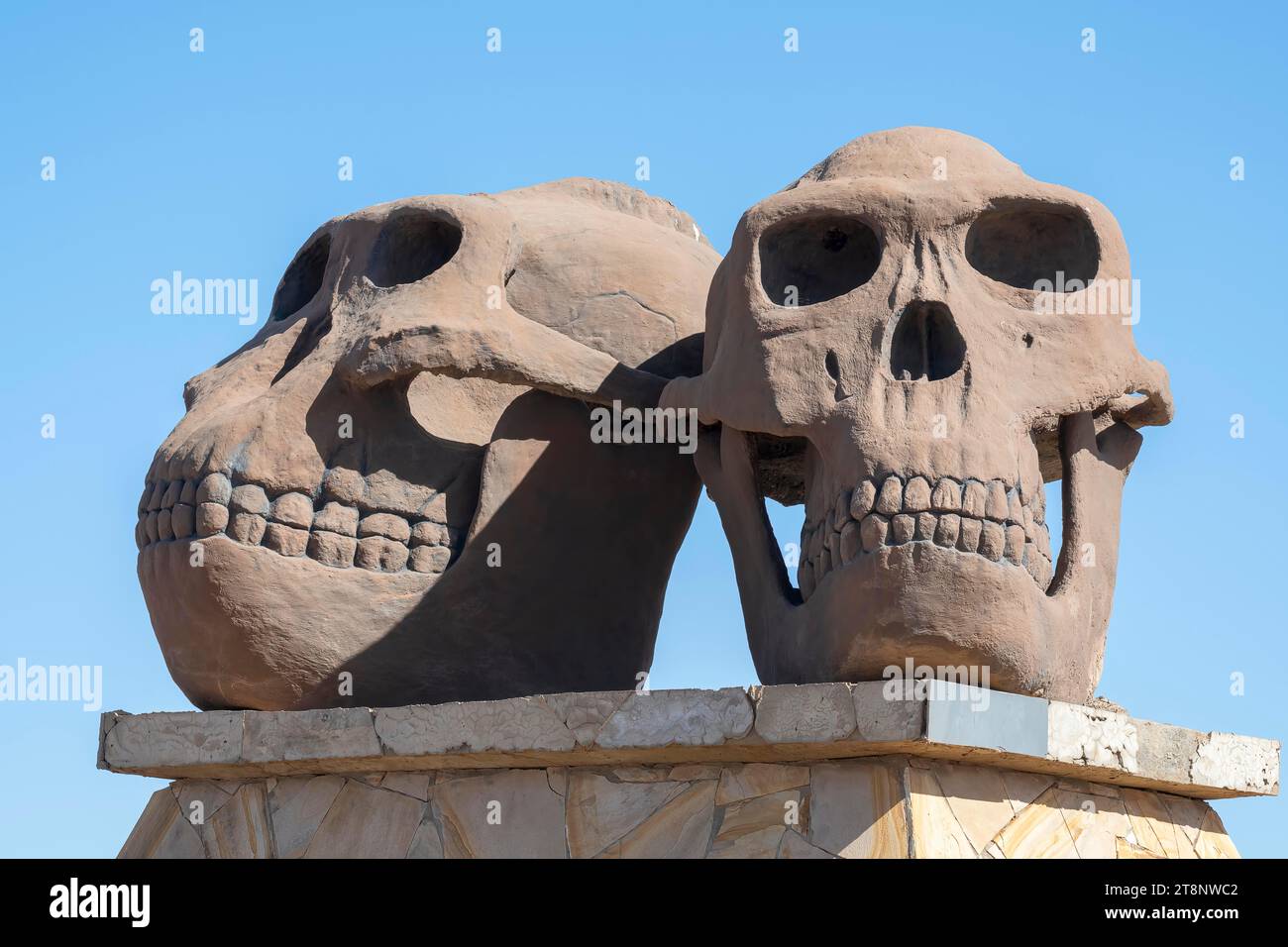 Olduvai gorge, berceau de l'humanité, Paranthropus, Zinjanthropus, Hornoi Habilis, crânes de deux races humaines, zone de conservation de Ngorongoro, Tanzanie Banque D'Images