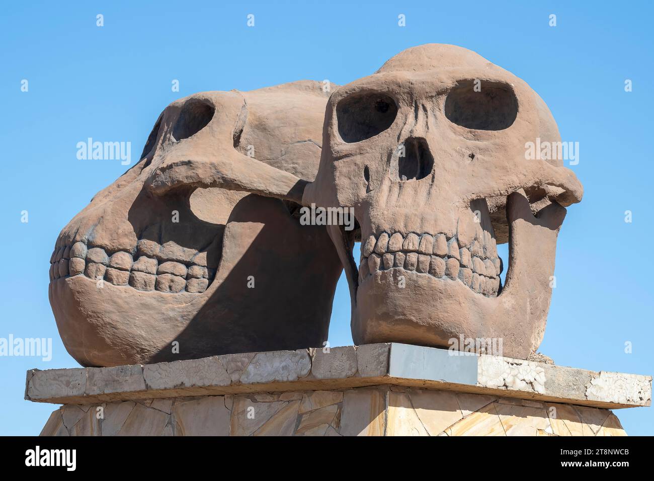 Olduvai gorge, berceau de l'humanité, Paranthropus, Zinjanthropus, Hornoi Habilis, crânes de deux races humaines, zone de conservation de Ngorongoro, Tanzanie Banque D'Images