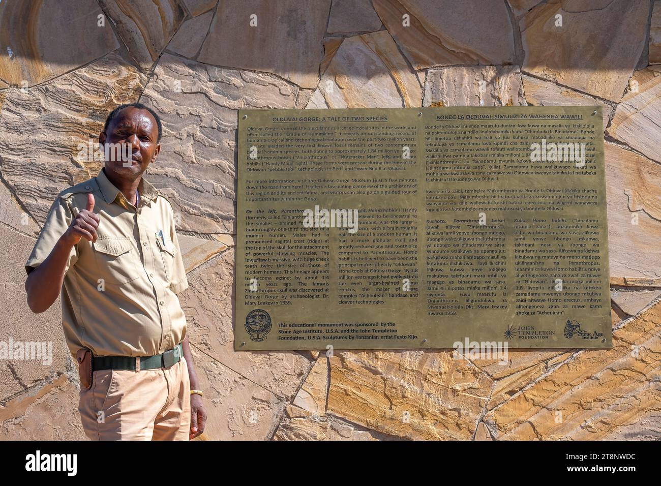Gorge d'Olduvai, berceau de l'humanité, guide devant une plaque, Paranthropus, Zinjanthropus, Hornoi Habilis, crânes de deux races humaines, Ngorongoro Banque D'Images