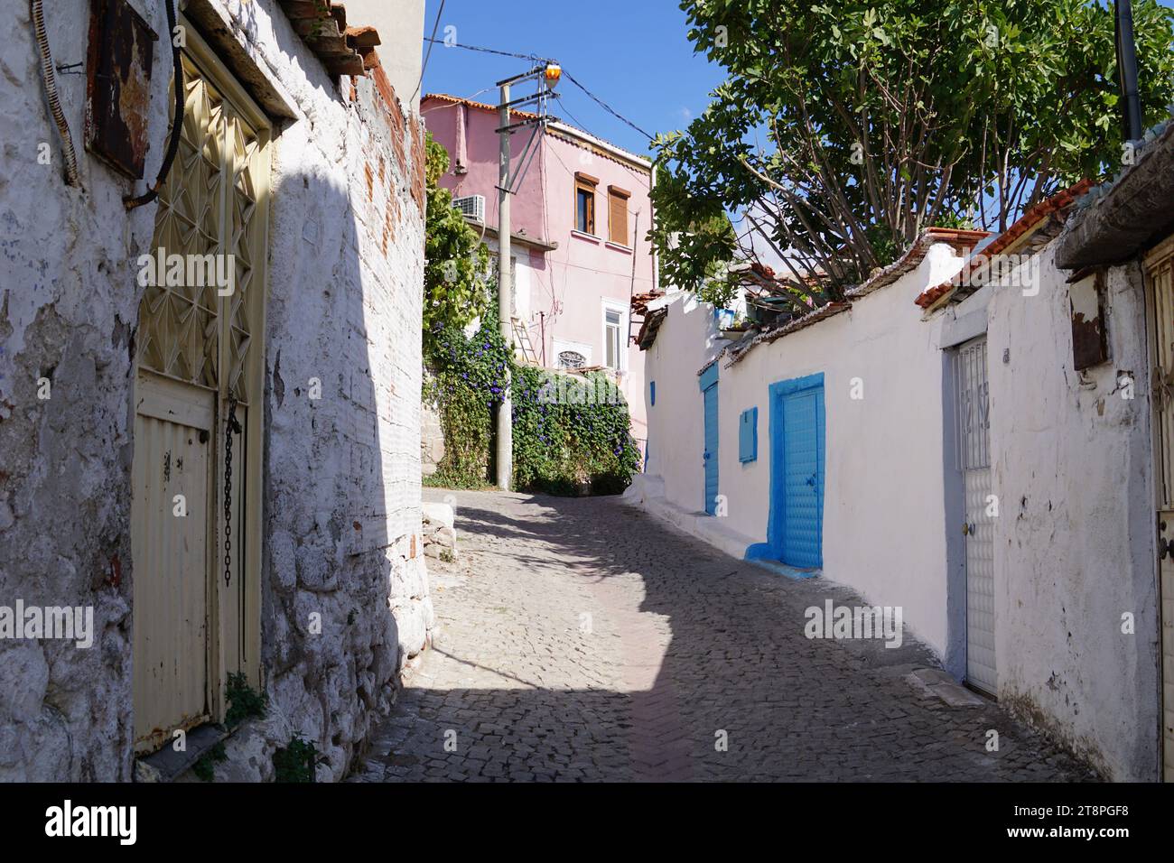 Bergama, située dans la province d'Izmir, dans l'ouest de la Turquie, est célèbre pour son coton, son or et ses tapis exquis. Autrefois le noyau culturel de Pergame à l'époque grecque et romaine antique, cette ville riche en ruines antiques reste un attrait majeur pour les touristes. Notamment, son célèbre temple a trouvé une nouvelle maison dans le musée de Pergame à Berlin, en Allemagne. Bergama possède des ruines remarquables comme le Sanctuaire Asclépios, un temple de dieu guérisseur, un théâtre grec et le complexe de la Basilique Rouge ('Kizil Avlu' en turc) Banque D'Images