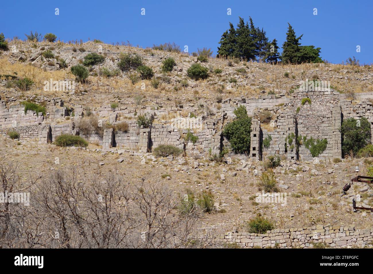 Bergama, située dans la province d'Izmir, dans l'ouest de la Turquie, est célèbre pour son coton, son or et ses tapis exquis. Autrefois le noyau culturel de Pergame à l'époque grecque et romaine antique, cette ville riche en ruines antiques reste un attrait majeur pour les touristes. Notamment, son célèbre temple a trouvé une nouvelle maison dans le musée de Pergame à Berlin, en Allemagne. Bergama possède des ruines remarquables comme le Sanctuaire Asclépios, un temple de dieu guérisseur, un théâtre grec et le complexe de la Basilique Rouge ('Kizil Avlu' en turc) Banque D'Images