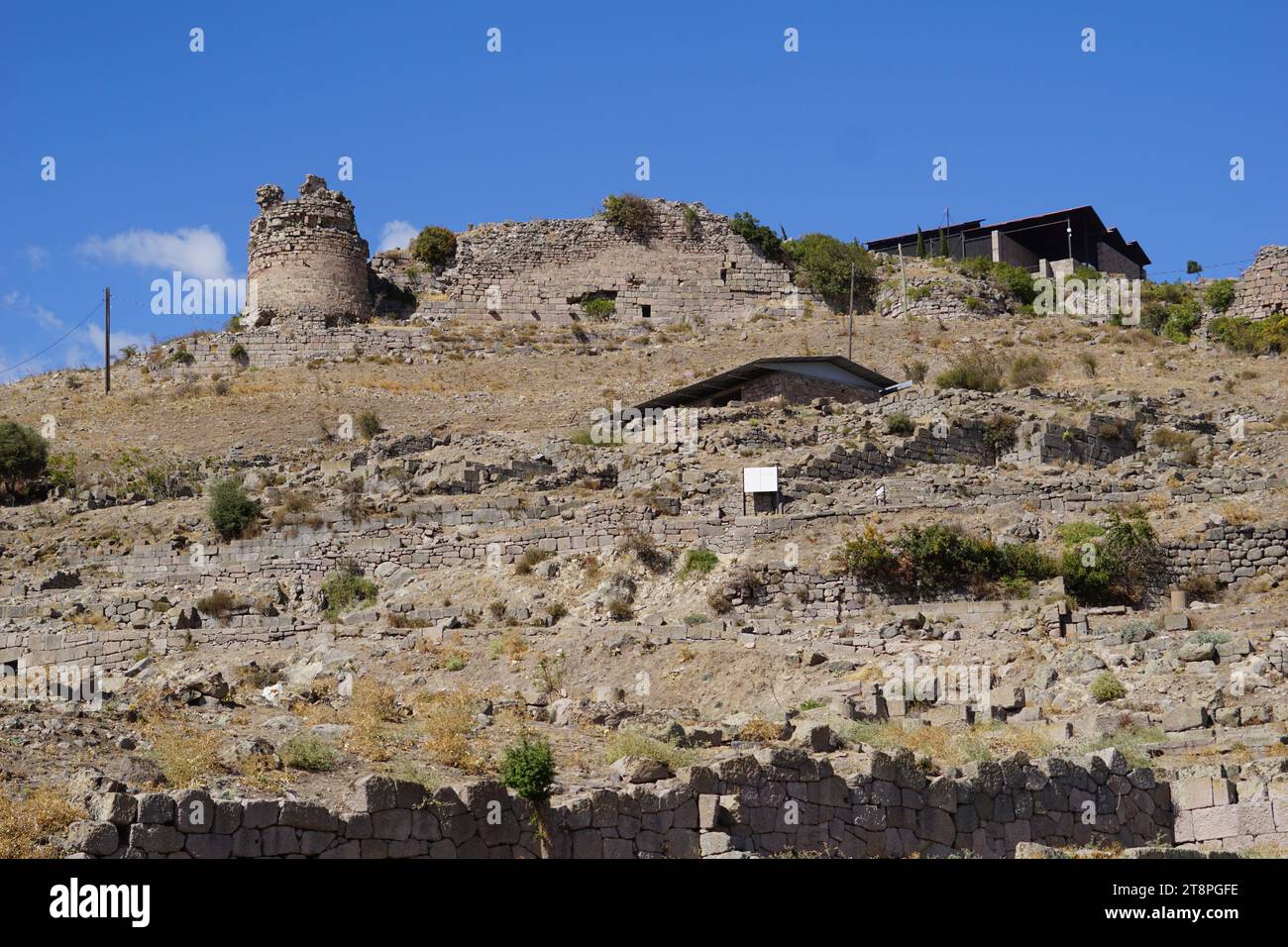 Bergama, située dans la province d'Izmir, dans l'ouest de la Turquie, est célèbre pour son coton, son or et ses tapis exquis. Autrefois le noyau culturel de Pergame à l'époque grecque et romaine antique, cette ville riche en ruines antiques reste un attrait majeur pour les touristes. Notamment, son célèbre temple a trouvé une nouvelle maison dans le musée de Pergame à Berlin, en Allemagne. Bergama possède des ruines remarquables comme le Sanctuaire Asclépios, un temple de dieu guérisseur, un théâtre grec et le complexe de la Basilique Rouge ('Kizil Avlu' en turc) Banque D'Images
