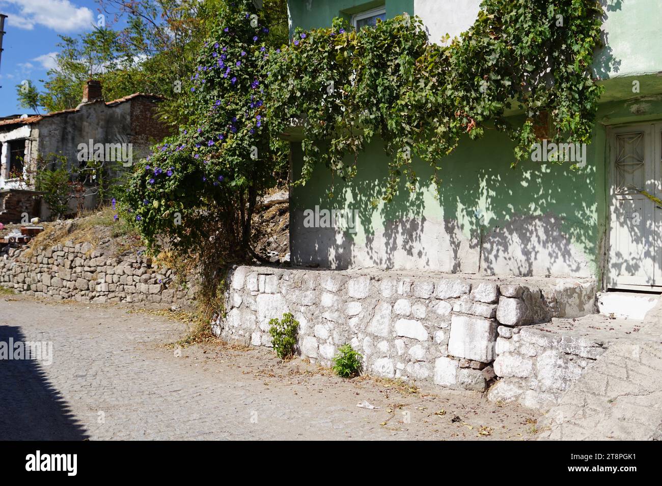 Bergama, située dans la province d'Izmir, dans l'ouest de la Turquie, est célèbre pour son coton, son or et ses tapis exquis. Autrefois le noyau culturel de Pergame à l'époque grecque et romaine antique, cette ville riche en ruines antiques reste un attrait majeur pour les touristes. Notamment, son célèbre temple a trouvé une nouvelle maison dans le musée de Pergame à Berlin, en Allemagne. Bergama possède des ruines remarquables comme le Sanctuaire Asclépios, un temple de dieu guérisseur, un théâtre grec et le complexe de la Basilique Rouge ('Kizil Avlu' en turc) Banque D'Images