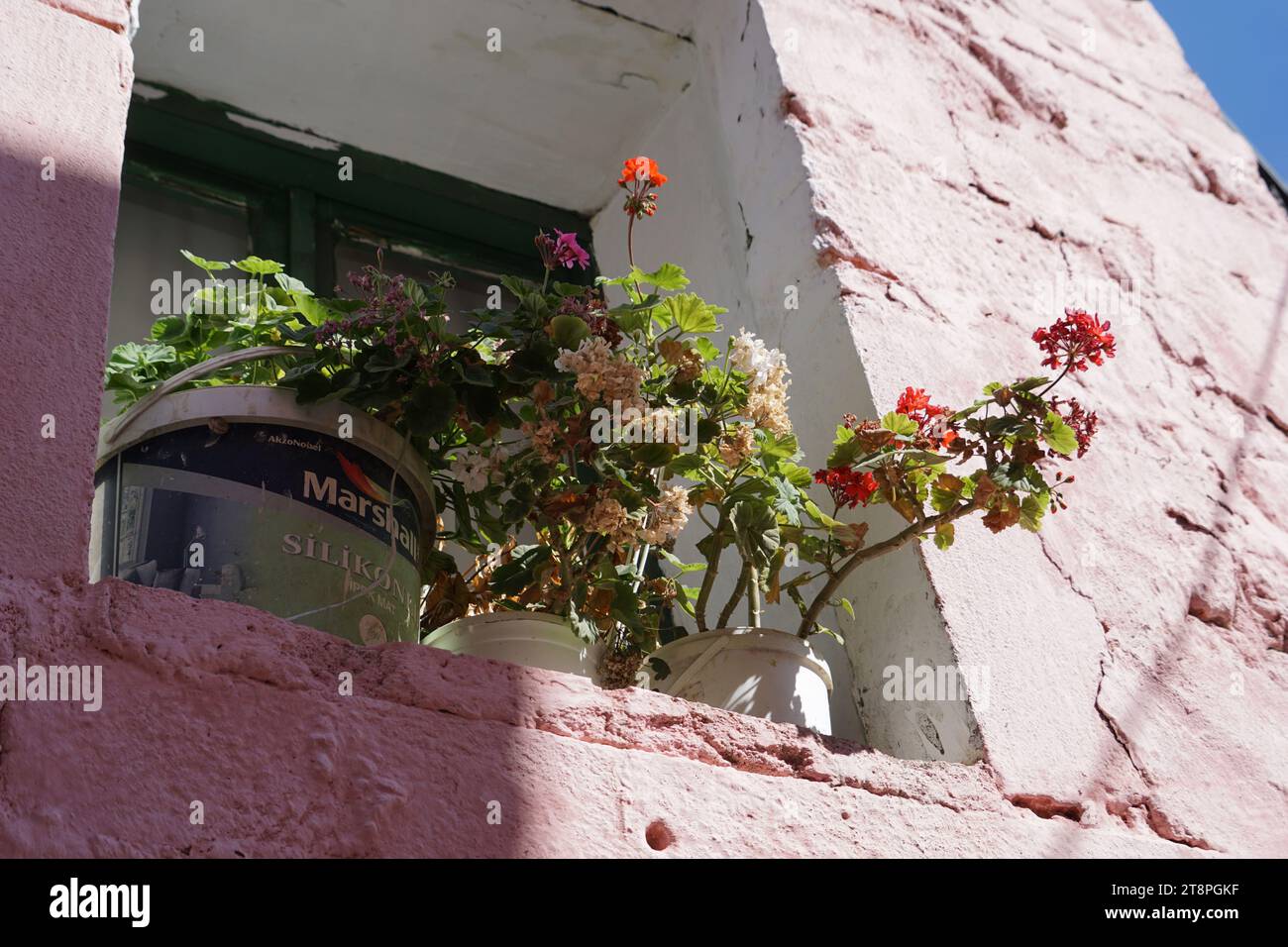 Bergama, située dans la province d'Izmir, dans l'ouest de la Turquie, est célèbre pour son coton, son or et ses tapis exquis. Autrefois le noyau culturel de Pergame à l'époque grecque et romaine antique, cette ville riche en ruines antiques reste un attrait majeur pour les touristes. Notamment, son célèbre temple a trouvé une nouvelle maison dans le musée de Pergame à Berlin, en Allemagne. Bergama possède des ruines remarquables comme le Sanctuaire Asclépios, un temple de dieu guérisseur, un théâtre grec et le complexe de la Basilique Rouge ('Kizil Avlu' en turc) Banque D'Images