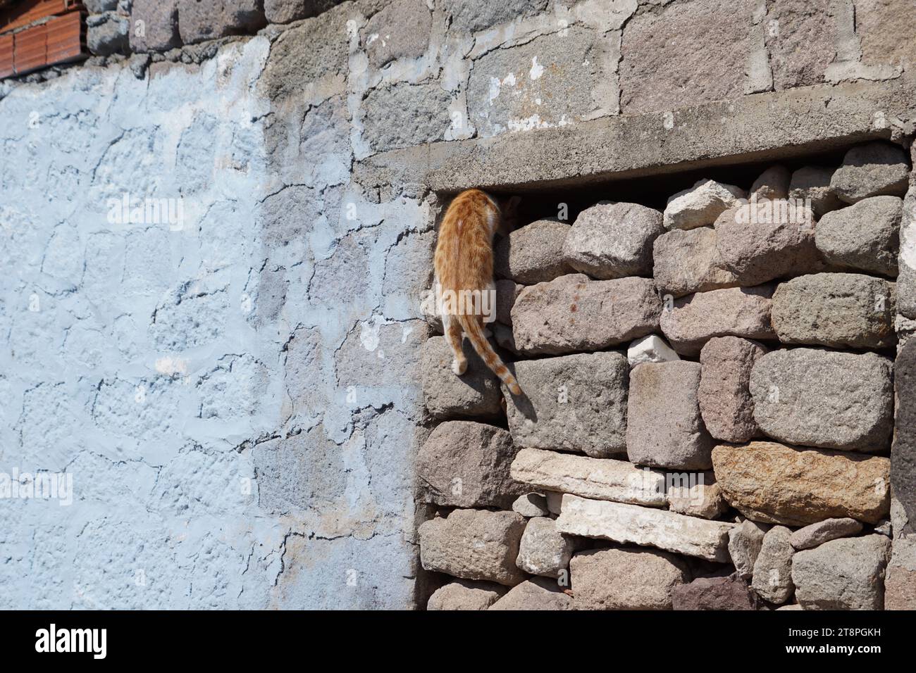 Bergama, située dans la province d'Izmir, dans l'ouest de la Turquie, est célèbre pour son coton, son or et ses tapis exquis. Autrefois le noyau culturel de Pergame à l'époque grecque et romaine antique, cette ville riche en ruines antiques reste un attrait majeur pour les touristes. Notamment, son célèbre temple a trouvé une nouvelle maison dans le musée de Pergame à Berlin, en Allemagne. Bergama possède des ruines remarquables comme le Sanctuaire Asclépios, un temple de dieu guérisseur, un théâtre grec et le complexe de la Basilique Rouge ('Kizil Avlu' en turc) Banque D'Images