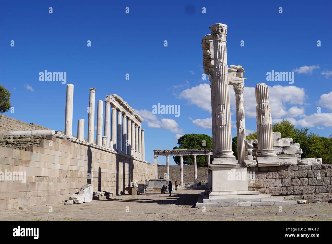 Bergama, située dans la province d'Izmir, dans l'ouest de la Turquie, est célèbre pour son coton, son or et ses tapis exquis. Autrefois le noyau culturel de Pergame à l'époque grecque et romaine antique, cette ville riche en ruines antiques reste un attrait majeur pour les touristes. Notamment, son célèbre temple a trouvé une nouvelle maison dans le musée de Pergame à Berlin, en Allemagne. Bergama possède des ruines remarquables comme le Sanctuaire Asclépios, un temple de dieu guérisseur, un théâtre grec et le complexe de la Basilique Rouge ('Kizil Avlu' en turc) Banque D'Images