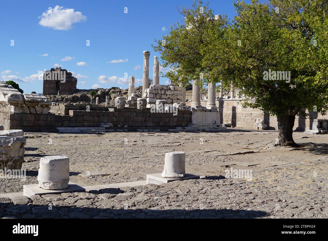 Bergama, située dans la province d'Izmir, dans l'ouest de la Turquie, est célèbre pour son coton, son or et ses tapis exquis. Autrefois le noyau culturel de Pergame à l'époque grecque et romaine antique, cette ville riche en ruines antiques reste un attrait majeur pour les touristes. Notamment, son célèbre temple a trouvé une nouvelle maison dans le musée de Pergame à Berlin, en Allemagne. Bergama possède des ruines remarquables comme le Sanctuaire Asclépios, un temple de dieu guérisseur, un théâtre grec et le complexe de la Basilique Rouge ('Kizil Avlu' en turc) Banque D'Images