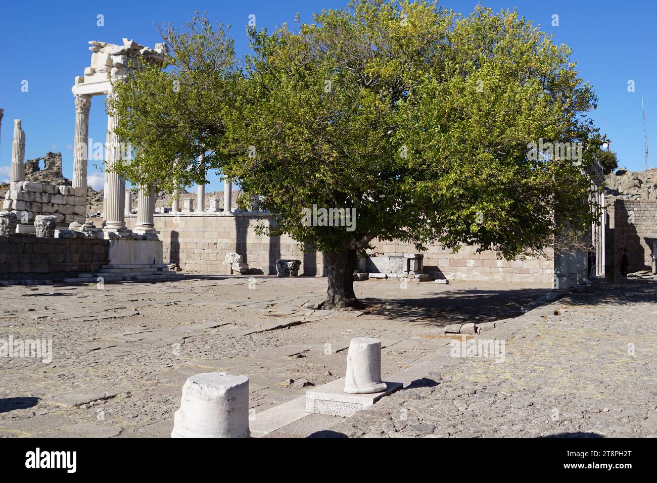 Bergama, située dans la province d'Izmir, dans l'ouest de la Turquie, est célèbre pour son coton, son or et ses tapis exquis. Autrefois le noyau culturel de Pergame à l'époque grecque et romaine antique, cette ville riche en ruines antiques reste un attrait majeur pour les touristes. Notamment, son célèbre temple a trouvé une nouvelle maison dans le musée de Pergame à Berlin, en Allemagne. Bergama possède des ruines remarquables comme le Sanctuaire Asclépios, un temple de dieu guérisseur, un théâtre grec et le complexe de la Basilique Rouge ('Kizil Avlu' en turc) Banque D'Images