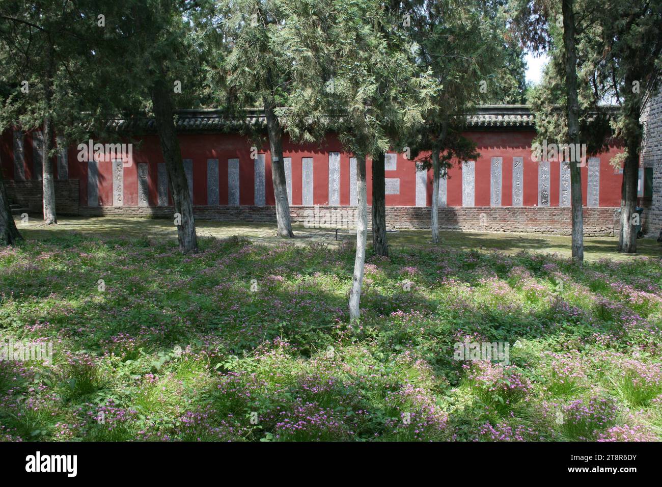 Wolong Hill, site supposé à Nanyang, dans la province du Henan, en Chine, où Zhuge Liang a été visité par Liu BEI trois fois avant d'accepter l'offre de Liu BEI d'être son Premier ministre. Une autre ville fait la même revendication Banque D'Images