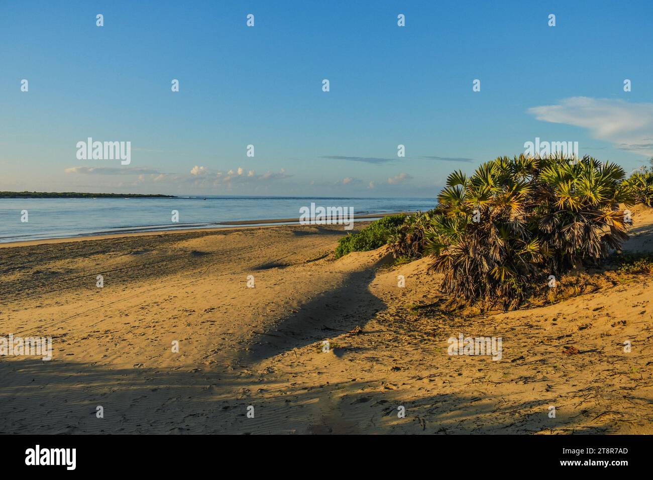 Dunes de sable à Shela Beach au lever du soleil à Lamu Isand, Kenya Banque D'Images