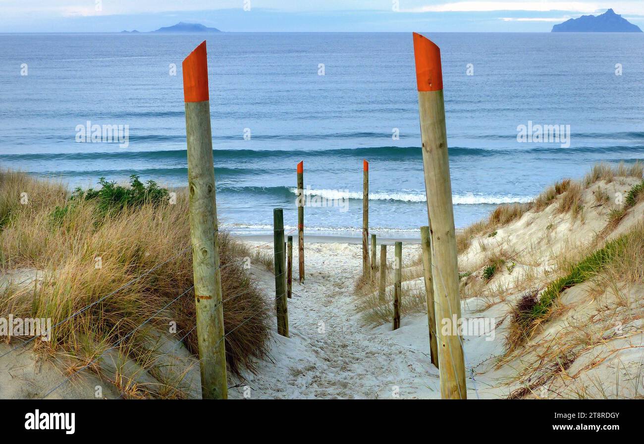 Accès à la plage Ruakaka. NZ, la zone générale est composée de Ruakaka Beach, Ruakaka Township et Marsden point. D'autres localités de Bream Bay comme One Tree point, Takahiwai et même Waipu sont souvent incluses dans la conversation générale concernant la région Banque D'Images