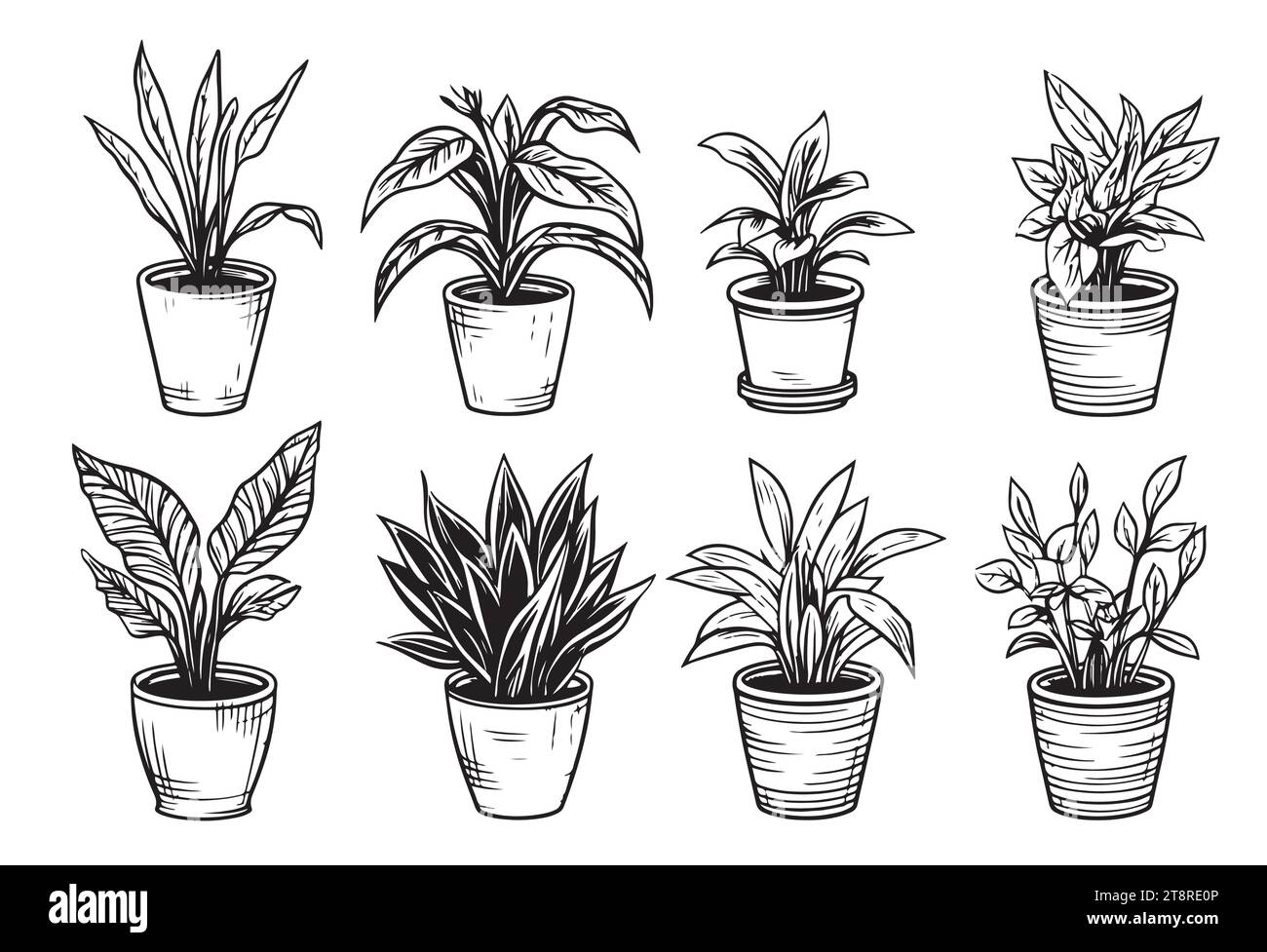 Ensemble de croquis vectoriels de plantes de maison dans des pots sur un fond blanc illustration vectorielle Illustration de Vecteur