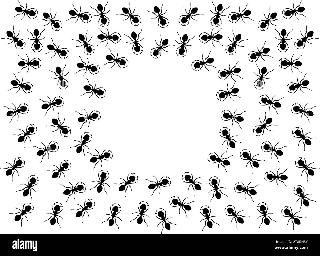Insectes insectes fourmis emmet pismire bannière Vector icône icônes signe amusant drôle Une ligne de travailleurs fourmis marchant recherche Silhouette bannière lo Illustration de Vecteur