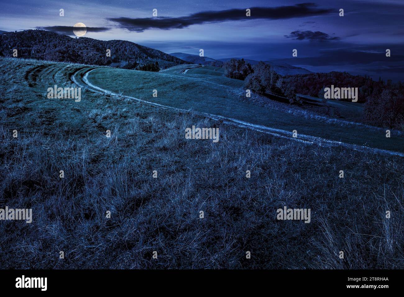 paysage montagneux automnal la nuit. arbres sur la colline près du chemin à travers prairie herbeuse. merveilleux paysage de nature dans la lumière de pleine lune Banque D'Images