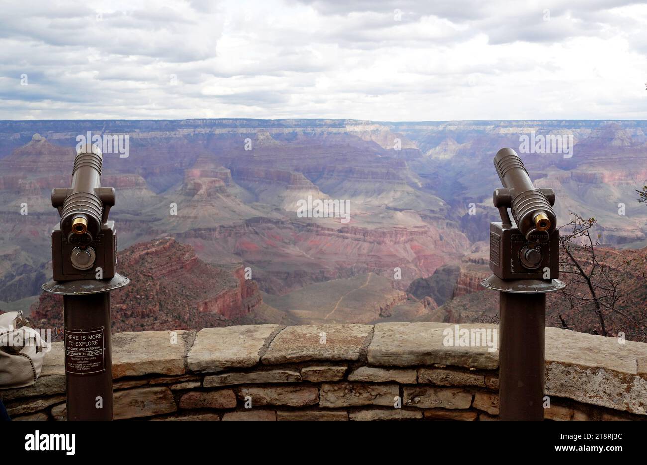 Point de vue du Grand Canyon, le Grand Canyon est un canyon aux flancs escarpés creusé par le fleuve Colorado dans l'État de l'Arizona aux États-Unis. Il est contenu et géré par le parc national du Grand Canyon, la forêt nationale de Kaibab, le monument national du Grand Canyon-Parashant, la nation tribale Hualapai, le peuple Havasupai et la nation Navajo. Le président Theodore Roosevelt était un partisan majeur de la préservation de la région du Grand Canyon, et l'a visité à de nombreuses reprises pour chasser et profiter du paysage Banque D'Images