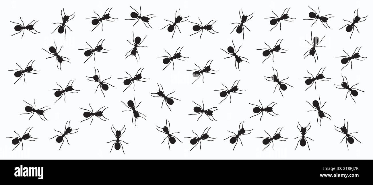 Insectes insectes fourmis emmet pismire bannière Vector icône icônes signe amusant drôle Une ligne de travailleurs fourmis marchant recherche Silhouette bannière lo Illustration de Vecteur