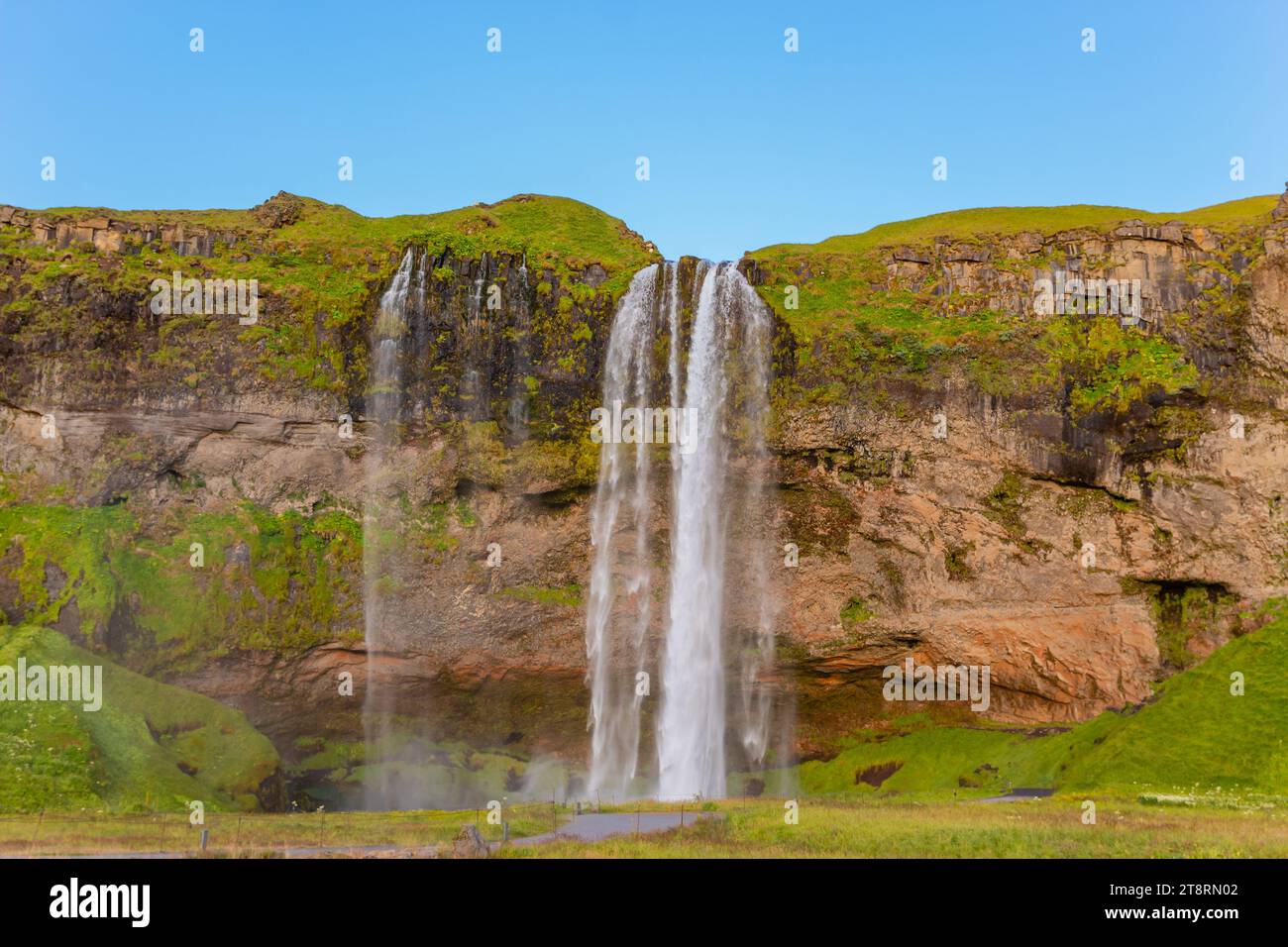 Belle chute d'eau Seljalandsfoss en été journée ensoleillée avec le champ d'herbe verte en Islande. Banque D'Images