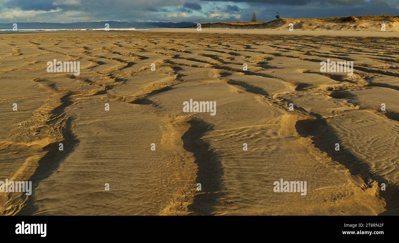 Paysage de sable, le sable est un matériau granulaire naturel composé de roches finement divisées et de particules minérales. Il est défini par la taille, étant plus fin que le gravier et plus grossier que le limon Banque D'Images