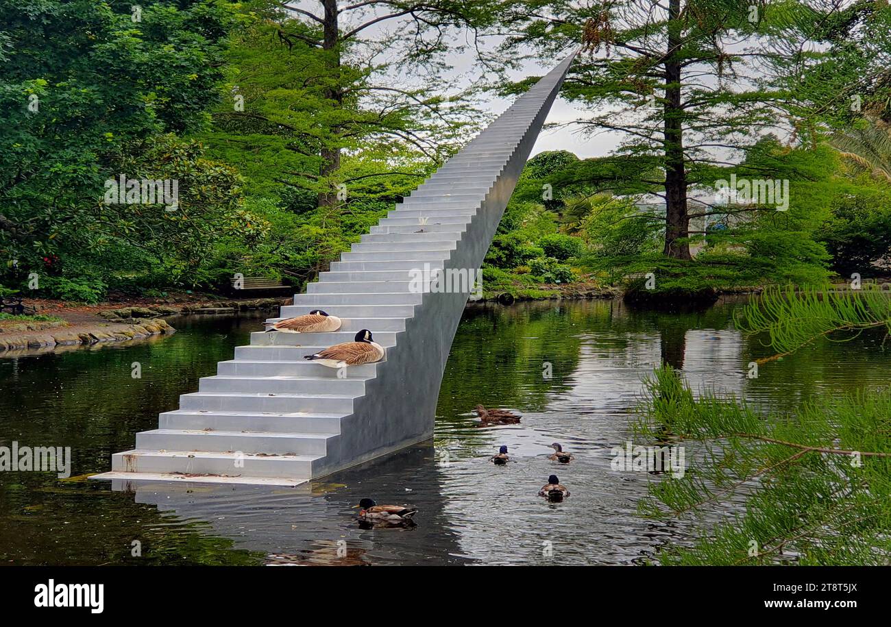 La diminution et l'ascension de David McCracken, la diminution vertigineuse et l'ascension ont déjà attiré l'attention sur Sculpture by the Sea, Sydney et Sculpture on the Gulf sur Waiheke Island. Situé dans le lac Kiosk dans les jardins botaniques Christchurch, Nouvelle-Zélande, l'illusion d'un escalier vers le ciel émergeant du lac prendra sa propre résonance. McCracken est un fabricant hautement qualifié, spécialisé dans le travail du métal, poussant ses capacités à réaliser des œuvres formellement sophistiquées et tactiles Banque D'Images