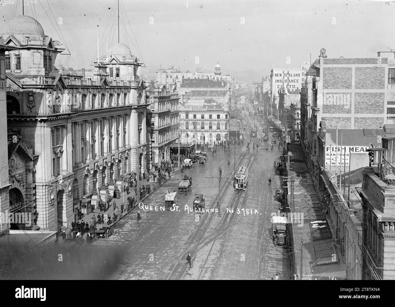 Lower Queen Street, Auckland, Nouvelle-Zélande, vue vue vue sur Queen Street prise d'un point de vue élevé près du bureau de poste général et de la gare de Queen Street dans Lower Queen Street. L'hôtel Waverley juste à côté du bureau de poste et l'hôtel Thames à l'intersection avec Customs Street peuvent être vus. Sandford Ltd. Se trouve sur la droite en face du bureau de poste Les bâtiments identifiables plus loin sur Queen Street sont le Waitemata Hotel, le Smeeton's Building et la New Zealand Insurance Co Ltd Un certain nombre de voitures, de chariots, de camions et de tramways peuvent être vus dans le bas de Queen Street. Banque D'Images