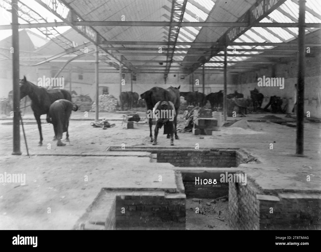 Armée néo-zélandaise chaussant smith au travail à Beauvois, France, première Guerre mondiale, une vue intérieure de l'armée néo-zélandaise chaussant smith chaussant un cheval dans une zone spacieuse dans Beauvois repris pendant la première Guerre mondiale Photographie prise le 15 octobre 1918 Banque D'Images