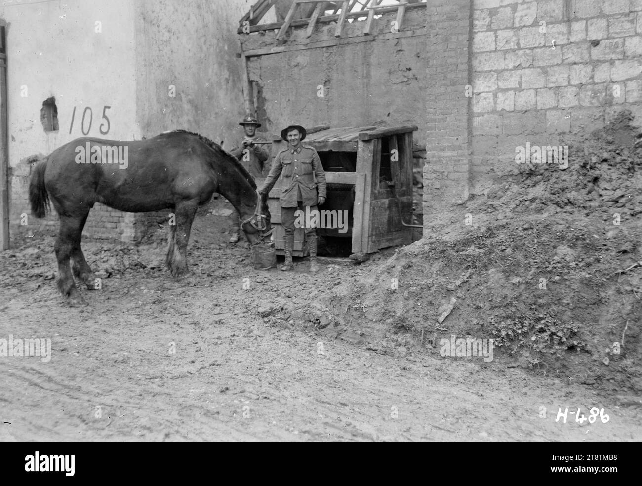 Soldat d'artillerie néo-zélandais arrosant son cheval, France, Un soldat d'artillerie néo-zélandais de la première Guerre mondiale arrosant son cheval dans un puits dans le village déserté de bus-les-Artois sur la somme. Photographie prise le 6 avril 1918 Banque D'Images