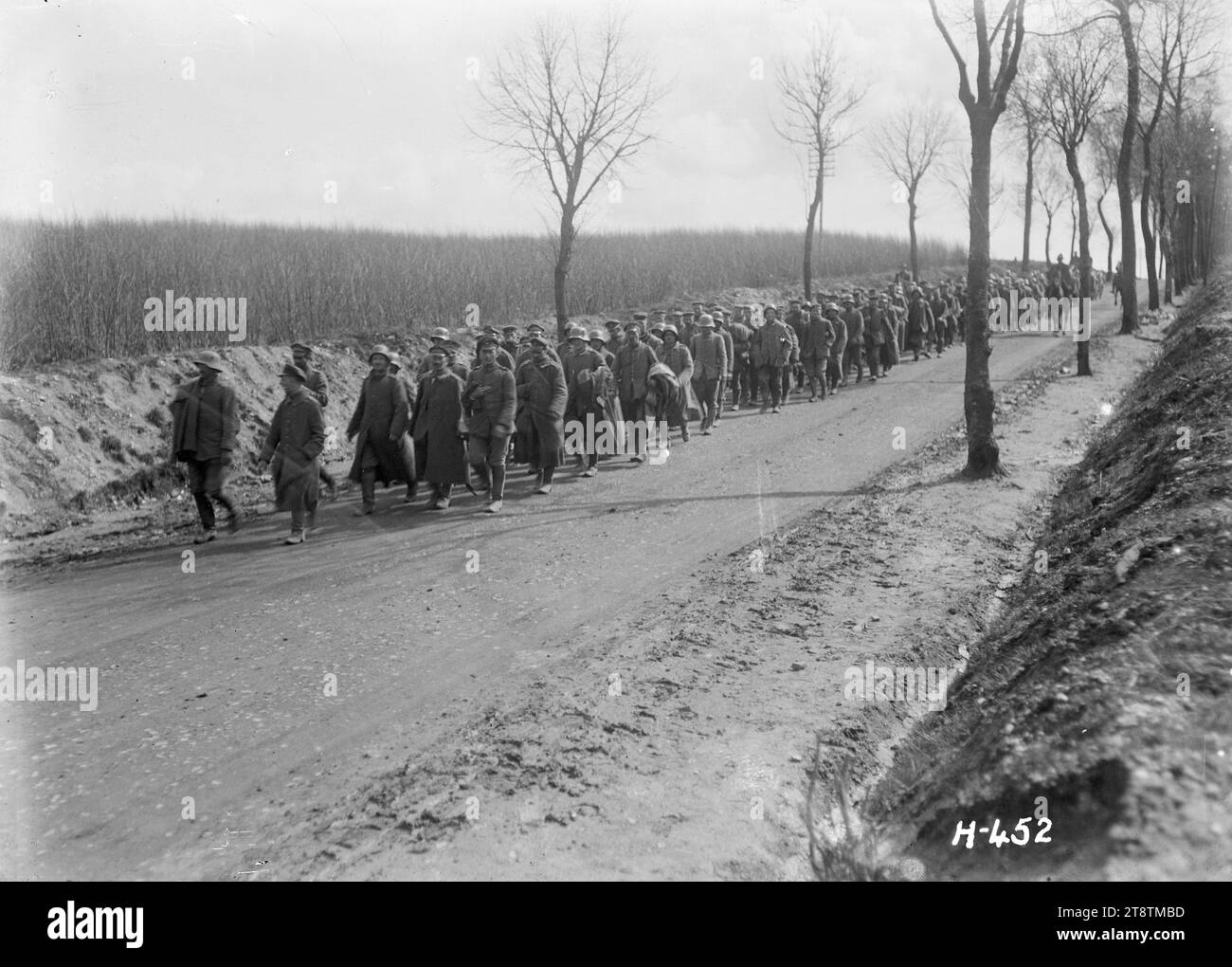 Prisonniers allemands capturés par des soldats néo-zélandais, France, Une colonne de prisonniers allemands capturés par des Néo-Zélandais lors de la deuxième offensive de la somme marchant sur une route près de Louvencourt. Photographie prise le 31 mars 1918 Banque D'Images