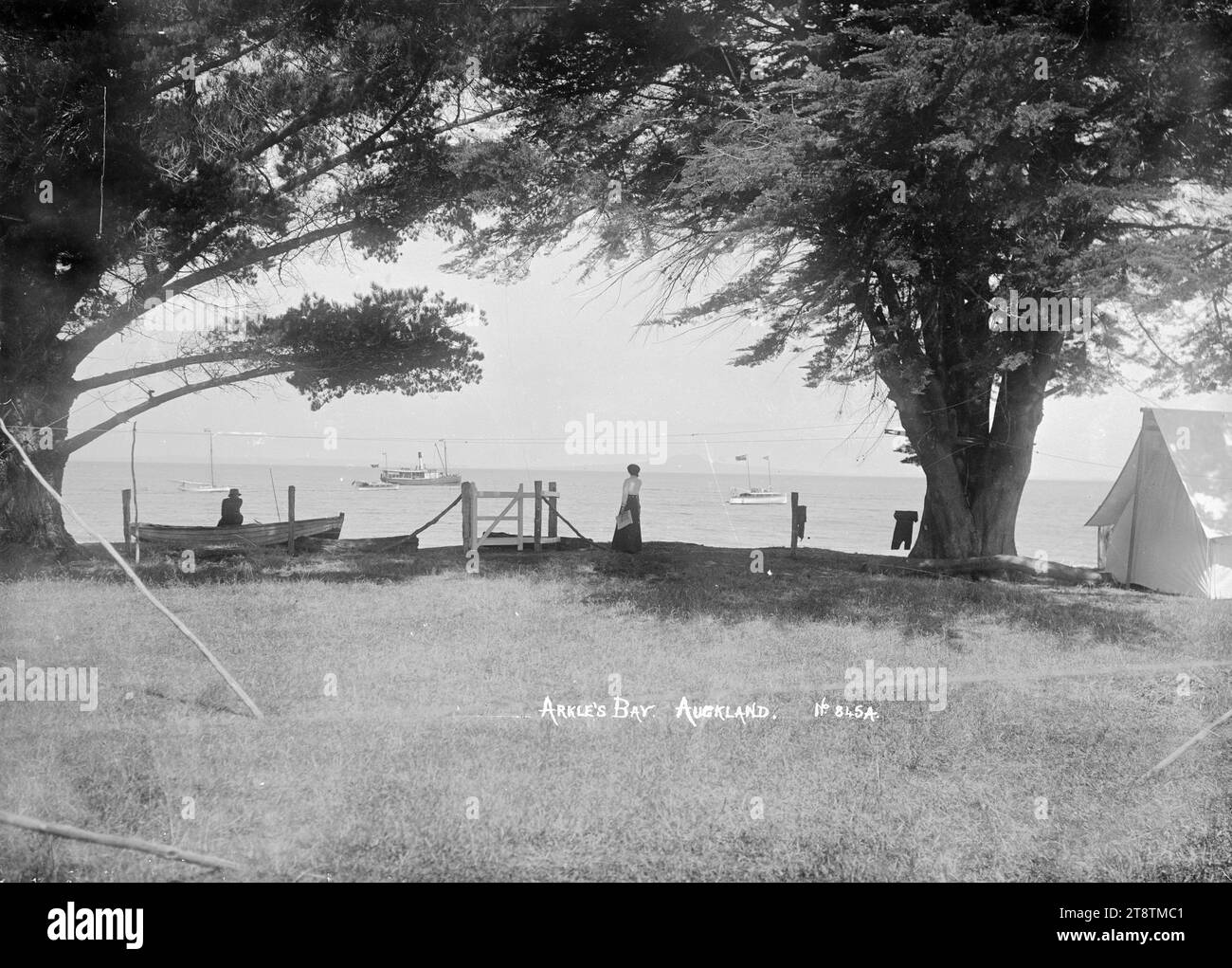 Camping à Arkles Bay, Auckland, Nouvelle-Zélande, vue sur Arkles Bay donnant sur la baie, prise entre deux grands macrocarpa sur le front de mer. Le ferry peut être vu dans la baie en direction du sud ainsi qu'un yacht et lancement. Une femme se tient debout regardant le ferry et un homme est assis sur un canot sous les arbres. Sur le côté droit se trouve une tente en toile au début des années 1900 Banque D'Images