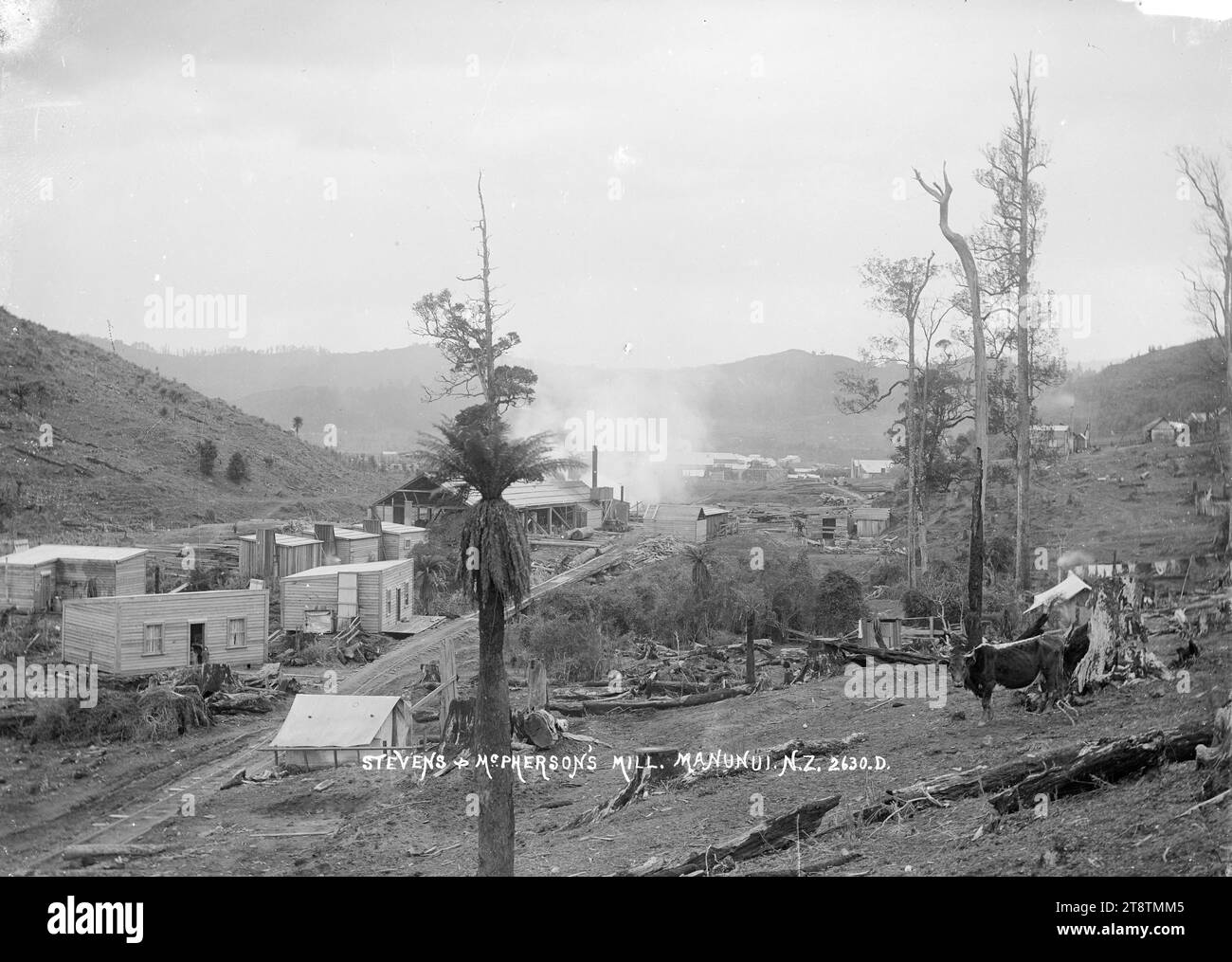 Le moulin de Stevens & McPherson à Manunui, vue du moulin de Stevens & McPherson à Manunui, avec un certain nombre de cabanes d'ouvriers sur la gauche Banque D'Images