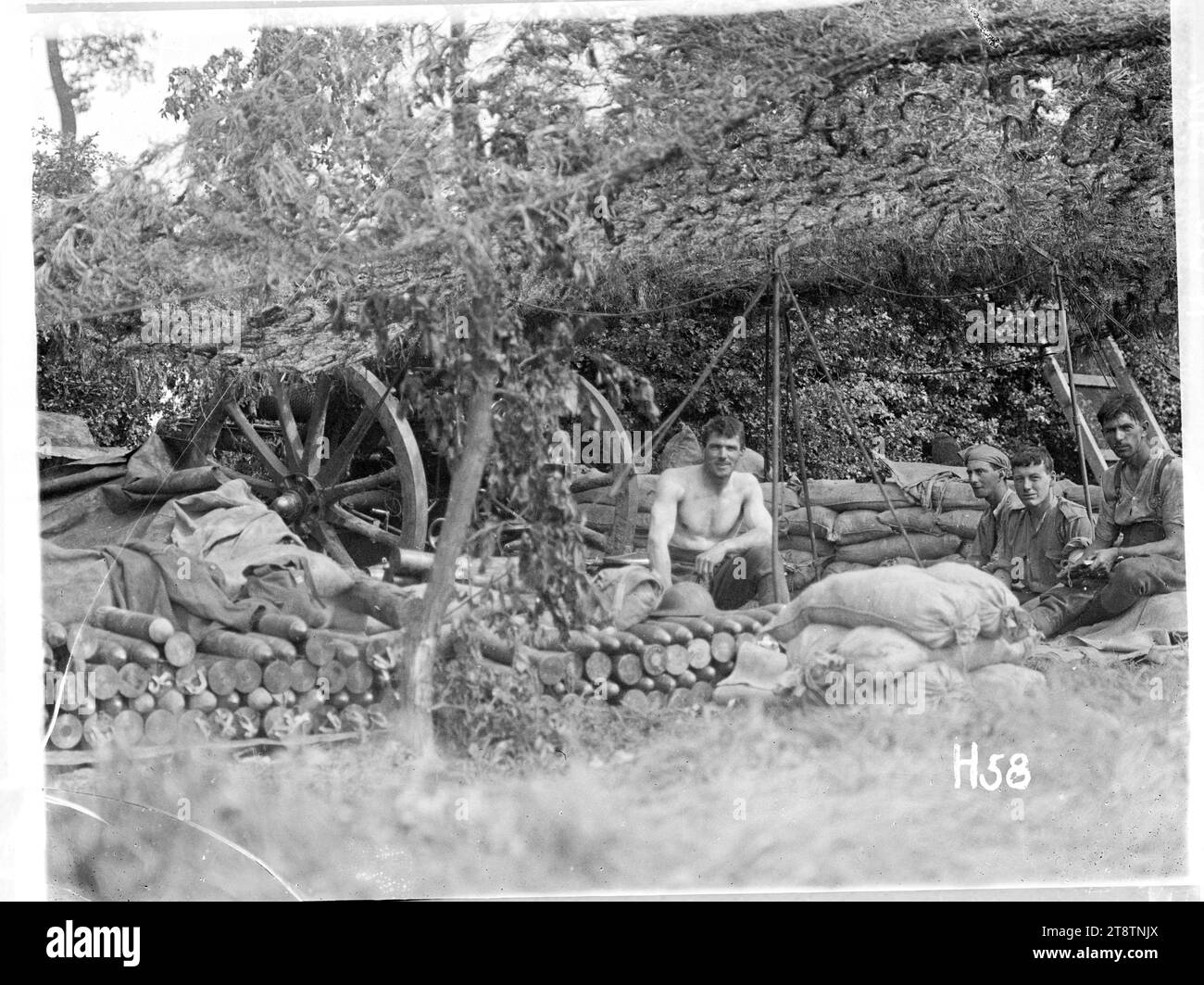 Un canon néo-zélandais avec son équipage pendant la bataille de Messines, Un canon d'artillerie néo-zélandais camouflé dans un emplacement à la bataille de Messines pendant la première Guerre mondiale Le pistolet est en grande partie caché sous les arbres et les filets. L'équipage est assis à proximité. Des obus d'artillerie empilés sont visibles. Photographie prise le 8 juin 1917 Banque D'Images