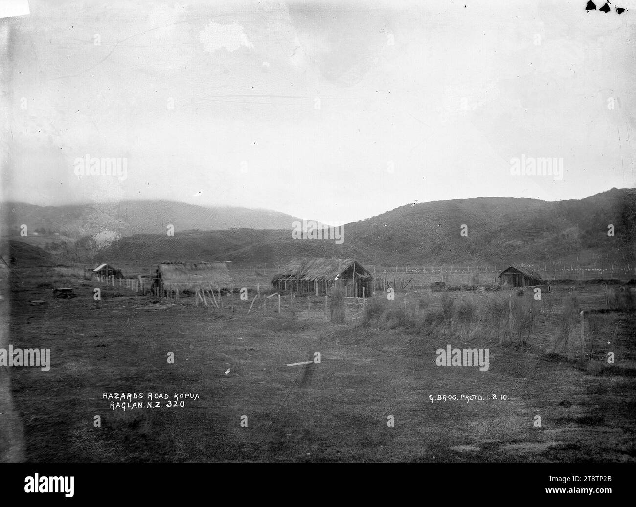 Hazards Road, Kopua, Dwellings on Hazards Road, Kopua, dans les environs de Raglan, Nouvelle-Zélande. Prise le 1 août 1910 par Gilmour Brothers Banque D'Images