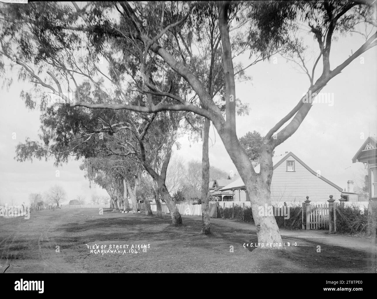 Aikens Street, Ngaruawahia, Nouvelle-Zélande, 1910 -, Aikens Street, Ngaruawahia, Nouvelle-Zélande. Il y a une rangée de gommiers matures devant les maisons sur le côté droit de la route. (Probablement Green & Colebrook, marchands, avec une succursale à Ngaruawahia, en Nouvelle-Zélande Banque D'Images