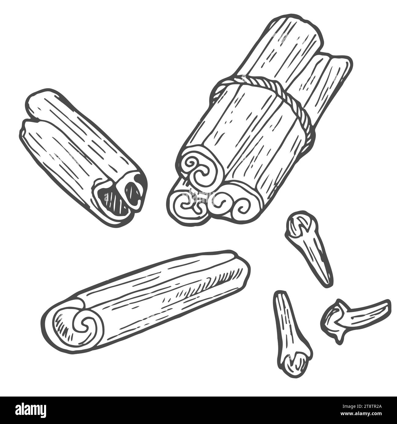 Les bâtons de cannelle et l'anis étoilé sont dessinés à la main. Gousses de cannelle entières texturées et fleurs d'anis dans le style grill. Illustration vectorielle isolée avec strok Illustration de Vecteur